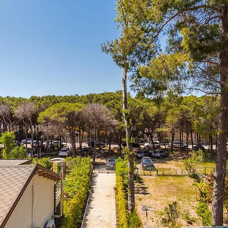 Beni's By Ps Golem (Tirana)